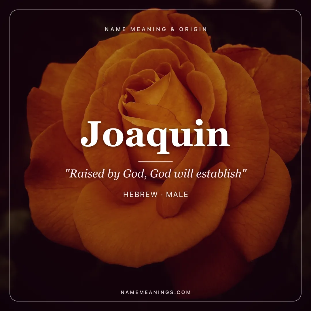 Joaquin name meaning "Raised by God, God will establish" - Hebrew, Spanish male name share card | NameMeanings