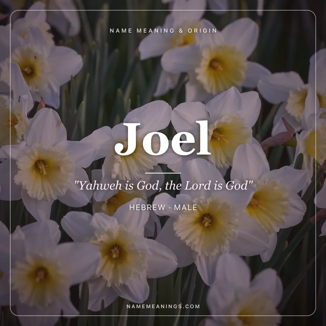 Joel name meaning "Yahweh is God, the Lord is God" - Hebrew male name share card | NameMeanings