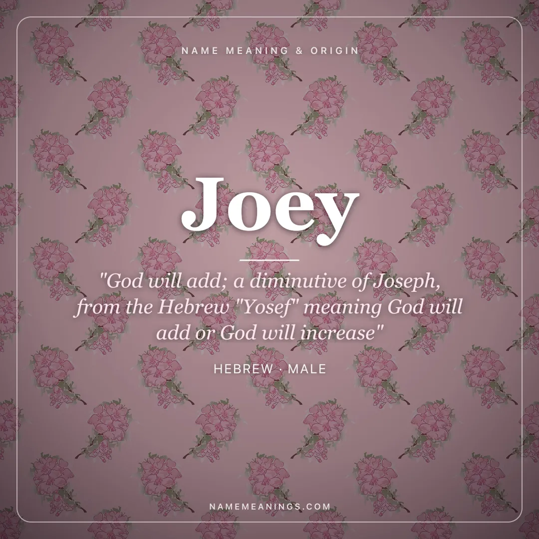 Joey name meaning "God will add; a diminutive of Joseph, from the Hebrew "Yosef" meaning God will add or God will increase" - Hebrew male name share card | NameMeanings