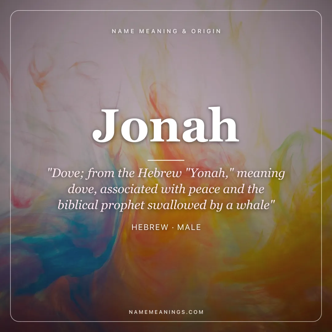 Jonah name meaning "Dove; from the Hebrew "Yonah," meaning dove, associated with peace and the biblical prophet swallowed by a whale" - Hebrew male name share card | NameMeanings