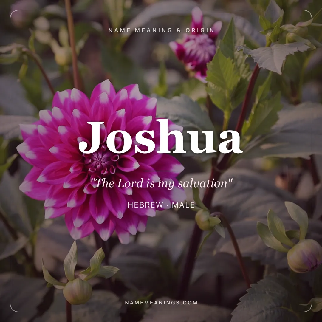 Joshua name meaning "The Lord is my salvation" - Hebrew male name share card | NameMeanings