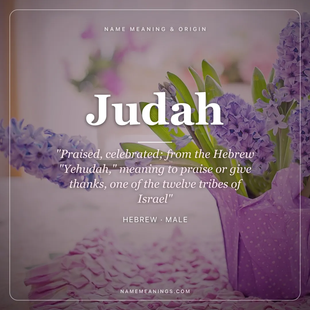 Judah name meaning "Praised, celebrated; from the Hebrew "Yehudah," meaning to praise or give thanks, one of the twelve tribes of Israel" - Hebrew male name share card | NameMeanings