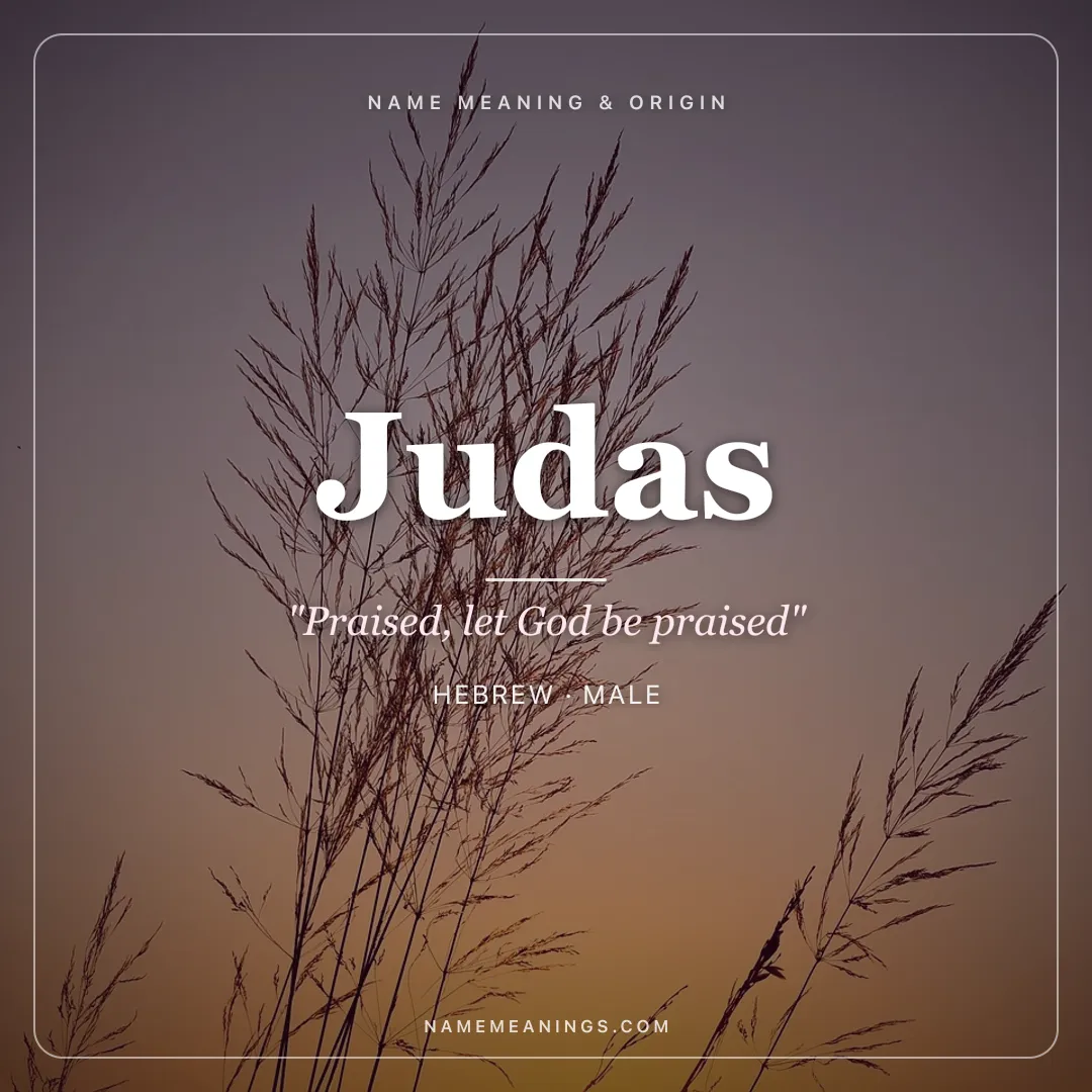 Judas name meaning "Praised, let God be praised" - Hebrew, Greek male name share card | NameMeanings