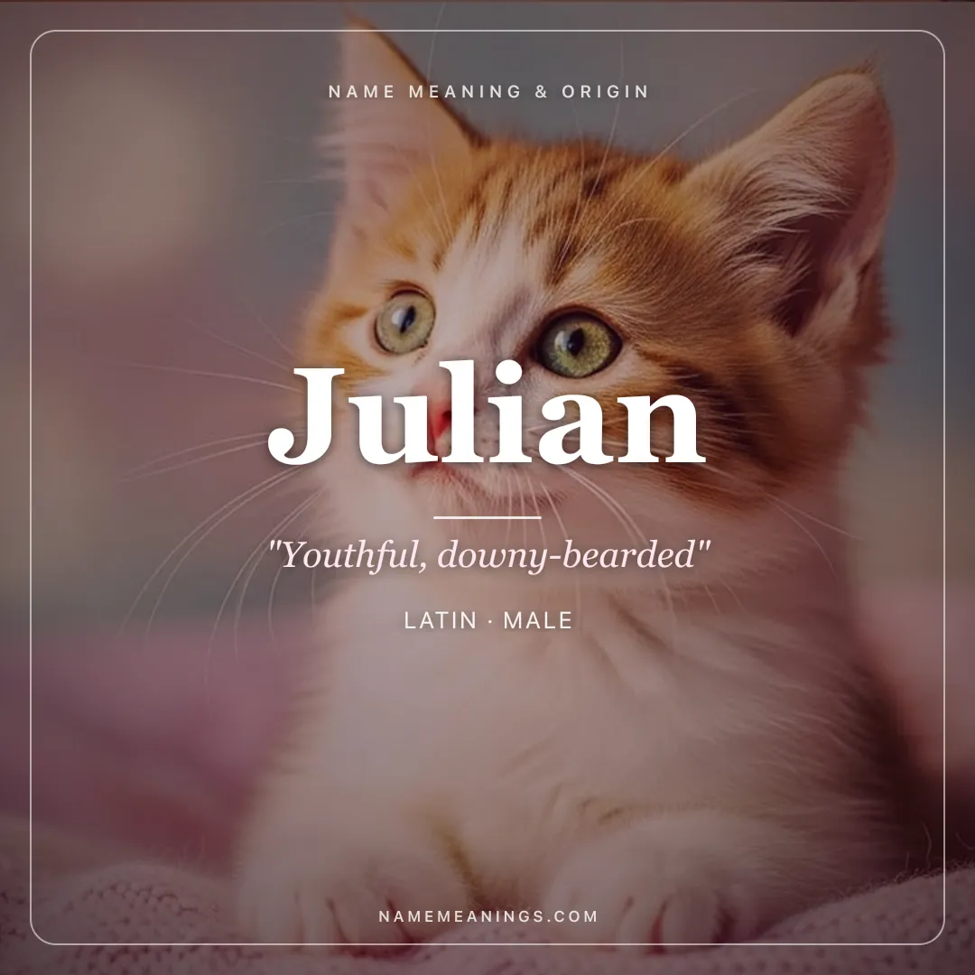 Julian name meaning "Youthful, downy-bearded" - Latin male name share card | NameMeanings