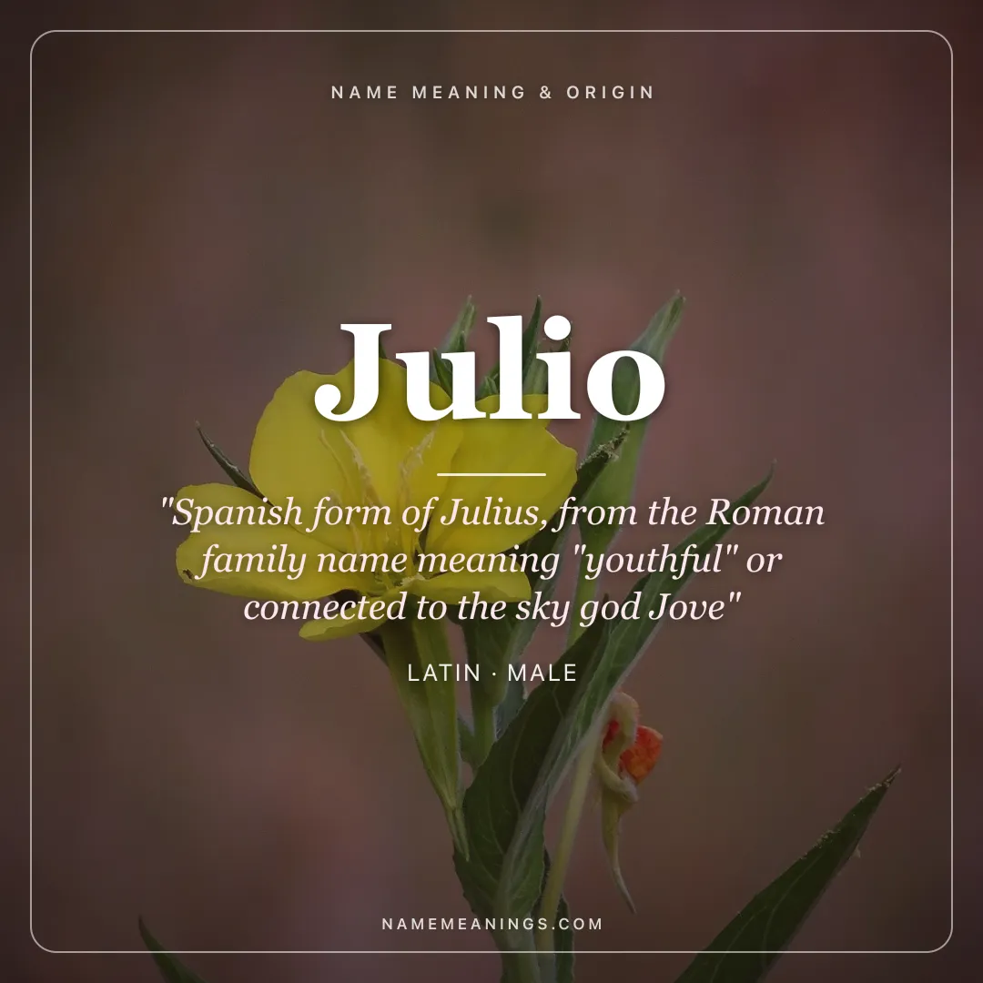 Julio name meaning "Spanish form of Julius, from the Roman family name meaning "youthful" or connected to the sky god Jove" - Latin male name share card | NameMeanings