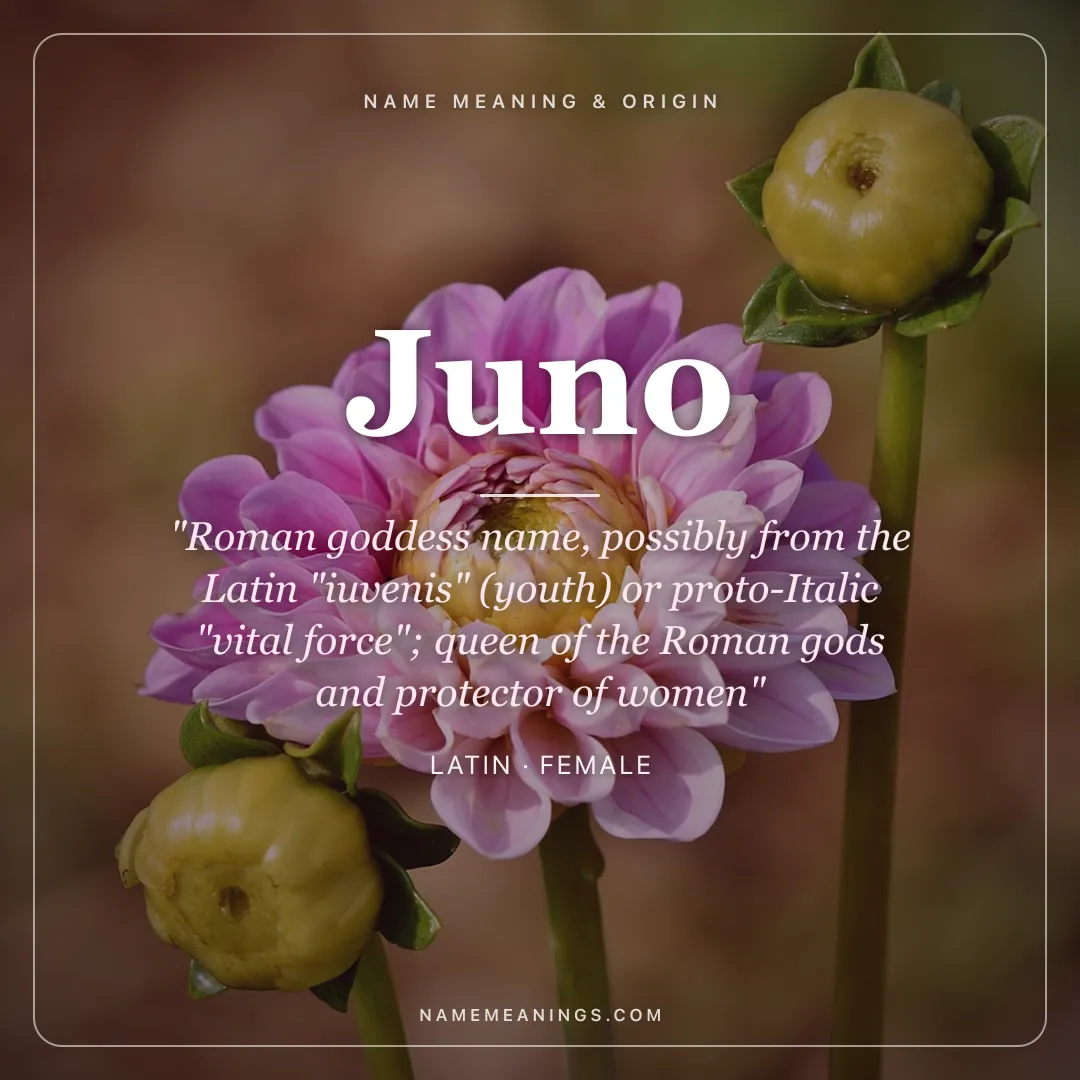 Juno name meaning "Roman goddess name, possibly from the Latin "iuvenis" (youth) or proto-Italic "vital force"; queen of the Roman gods and protector of women" - Latin female name share card | NameMeanings