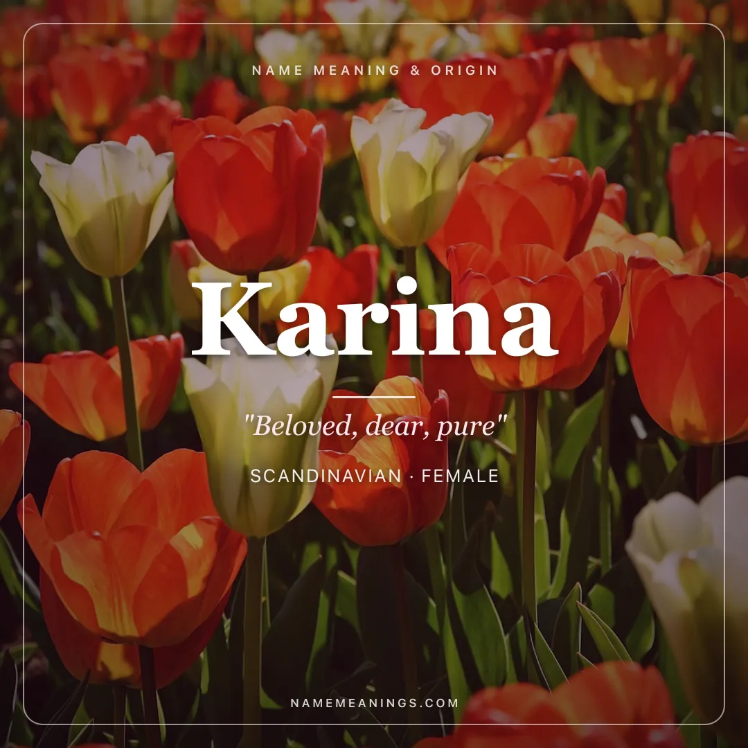 Karina name meaning "Beloved, dear, pure" - Scandinavian, Latin, Russian female name share card | NameMeanings