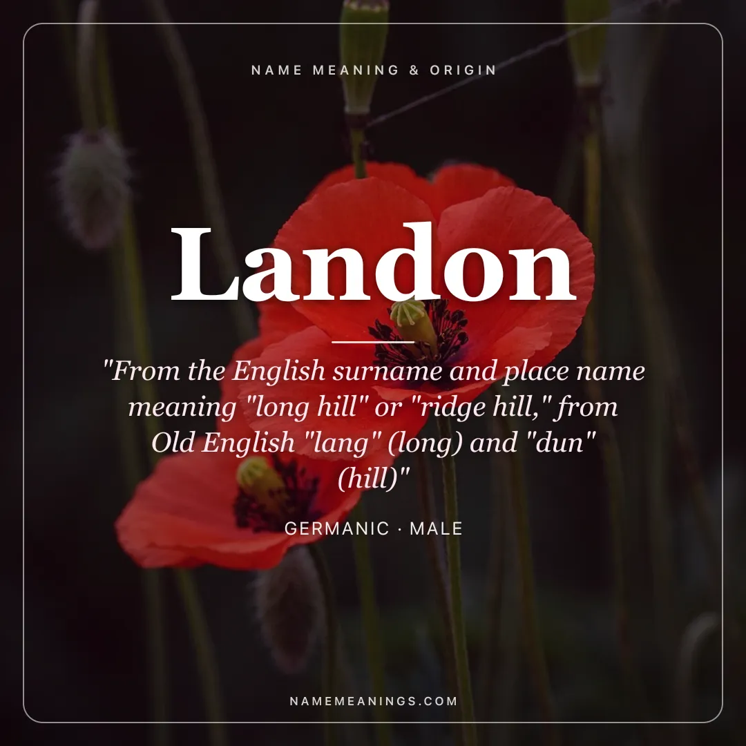 Landon name meaning "From the English surname and place name meaning "long hill" or "ridge hill," from Old English "lang" (long) and "dun" (hill)" - Germanic male name share card | NameMeanings