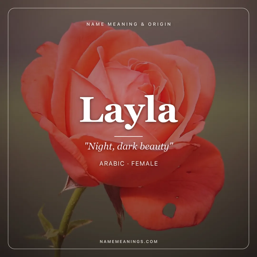 Layla name meaning "Night, dark beauty" - Arabic female name share card | NameMeanings