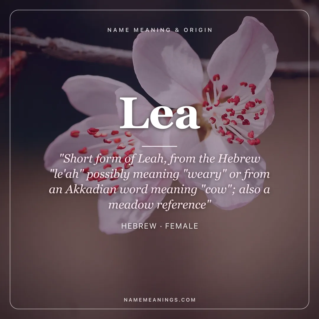 Lea name meaning "Short form of Leah, from the Hebrew "le'ah" possibly meaning "weary" or from an Akkadian word meaning "cow"; also a meadow reference" - Hebrew female name share card | NameMeanings