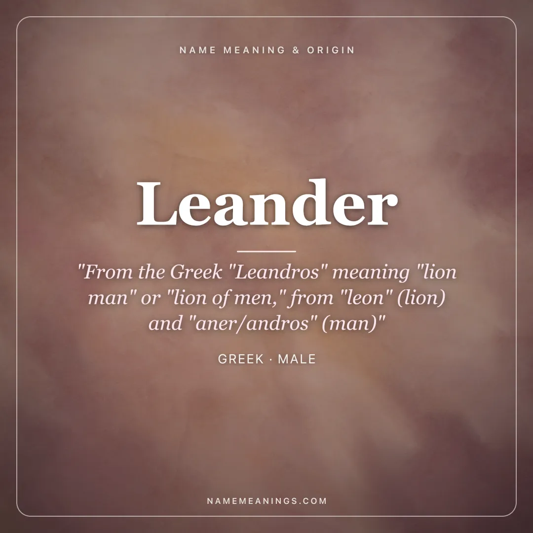 Leander name meaning "From the Greek "Leandros" meaning "lion man" or "lion of men," from "leon" (lion) and "aner/andros" (man)" - Greek male name share card | NameMeanings