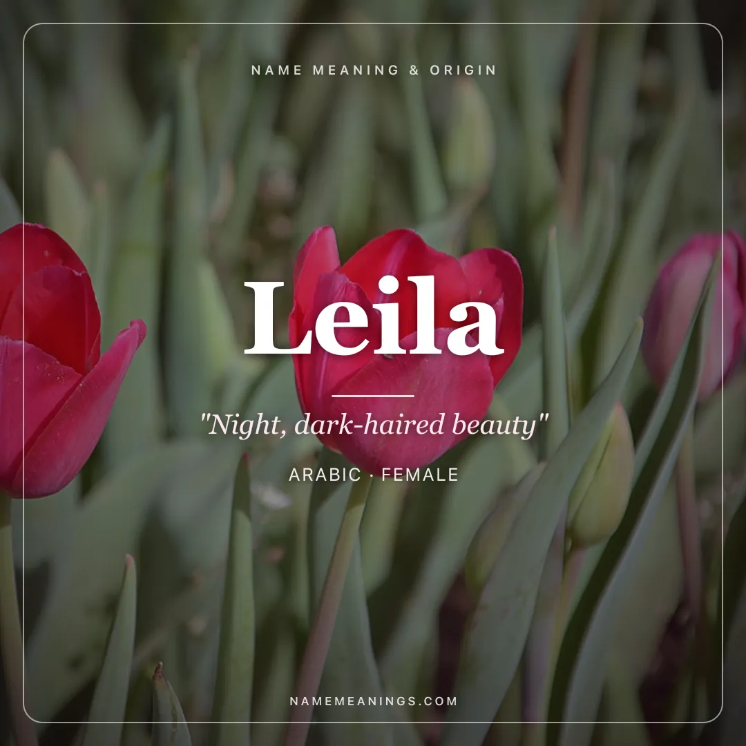 Leila name meaning "Night, dark-haired beauty" - Arabic, Persian female name share card | NameMeanings