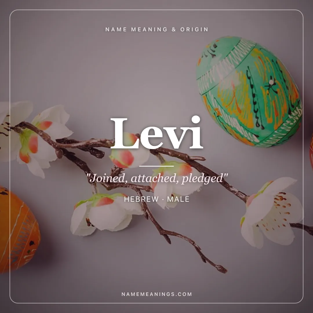 Levi name meaning "Joined, attached, pledged" - Hebrew male name share card | NameMeanings