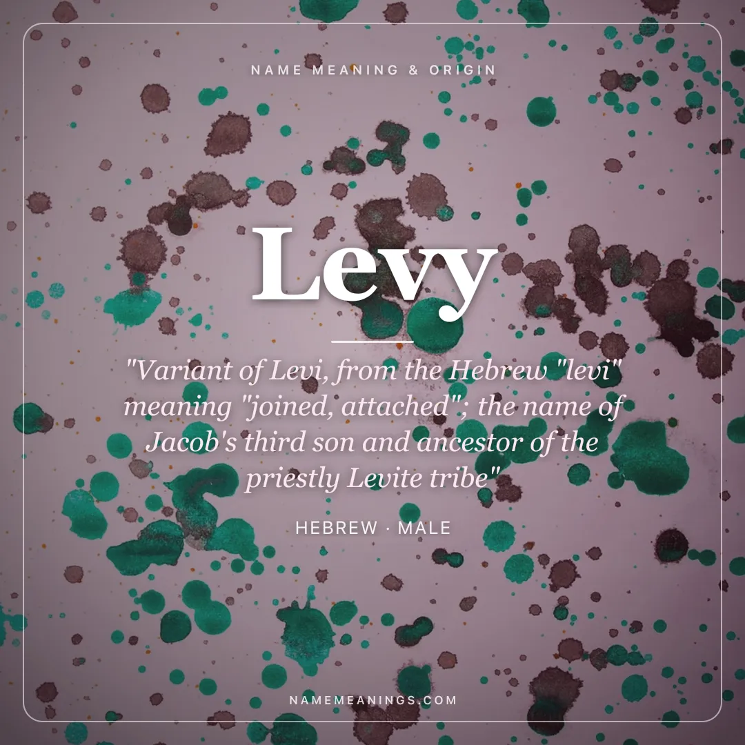 Levy name meaning "Variant of Levi, from the Hebrew "levi" meaning "joined, attached"; the name of Jacob's third son and ancestor of the priestly Levite tribe" - Hebrew male name share card | NameMeanings