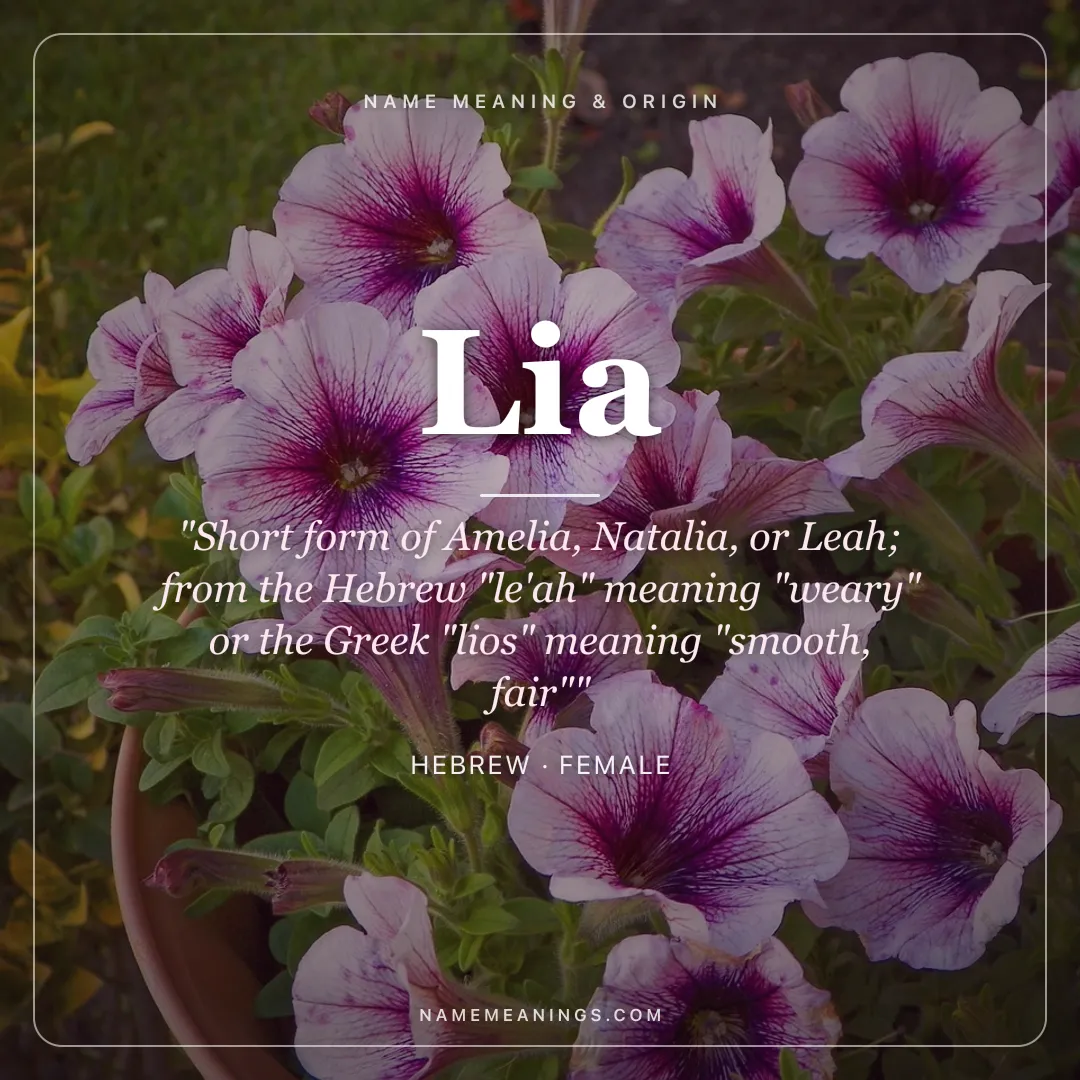 Lia name meaning "Short form of Amelia, Natalia, or Leah; from the Hebrew "le'ah" meaning "weary" or the Greek "lios" meaning "smooth, fair"" - Hebrew female name share card | NameMeanings
