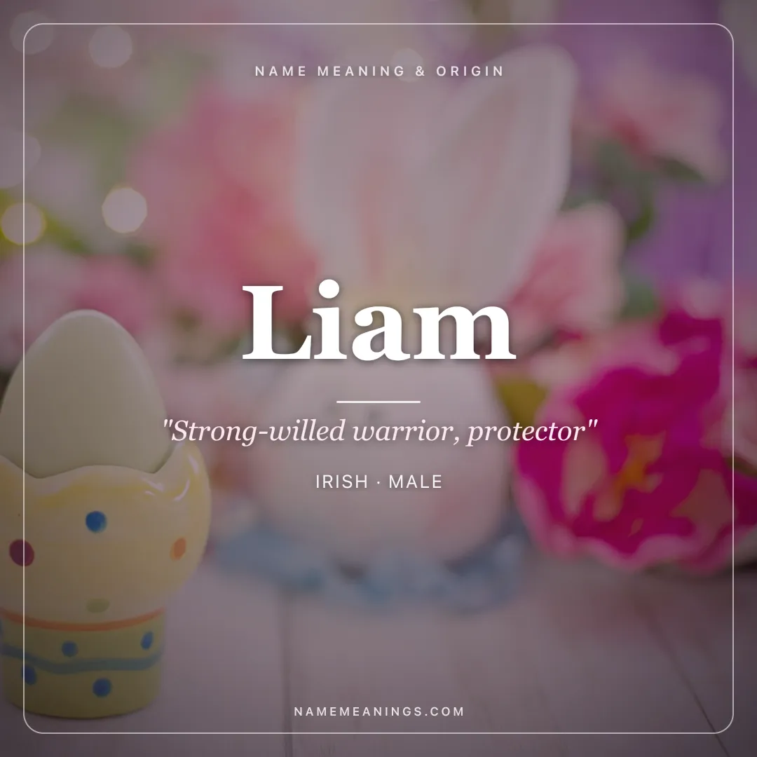 Liam name meaning "Strong-willed warrior, protector" - Irish male name share card | NameMeanings