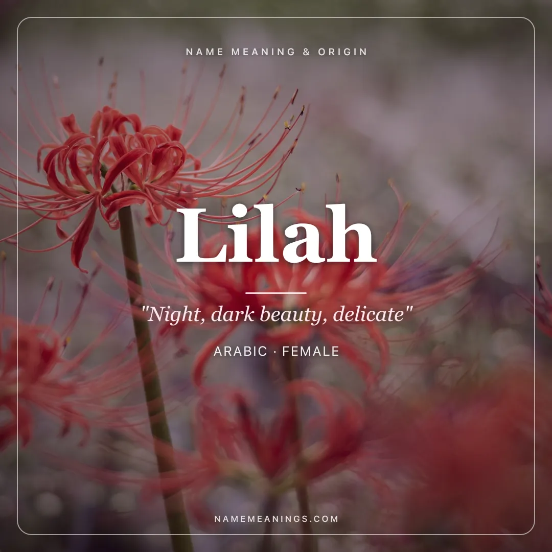 Lilah name meaning "Night, dark beauty, delicate" - Arabic, Hebrew female name share card | NameMeanings