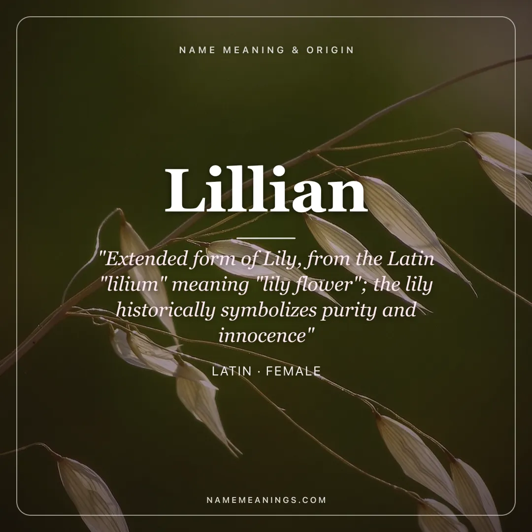 Lillian name meaning "Extended form of Lily, from the Latin "lilium" meaning "lily flower"; the lily historically symbolizes purity and innocence" - Latin female name share card | NameMeanings
