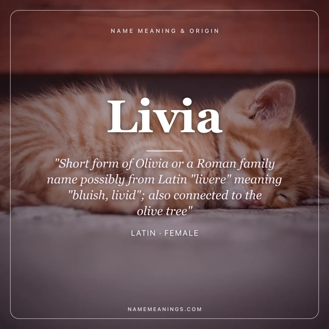 Livia name meaning "Short form of Olivia or a Roman family name possibly from Latin "livere" meaning "bluish, livid"; also connected to the olive tree" - Latin female name share card | NameMeanings