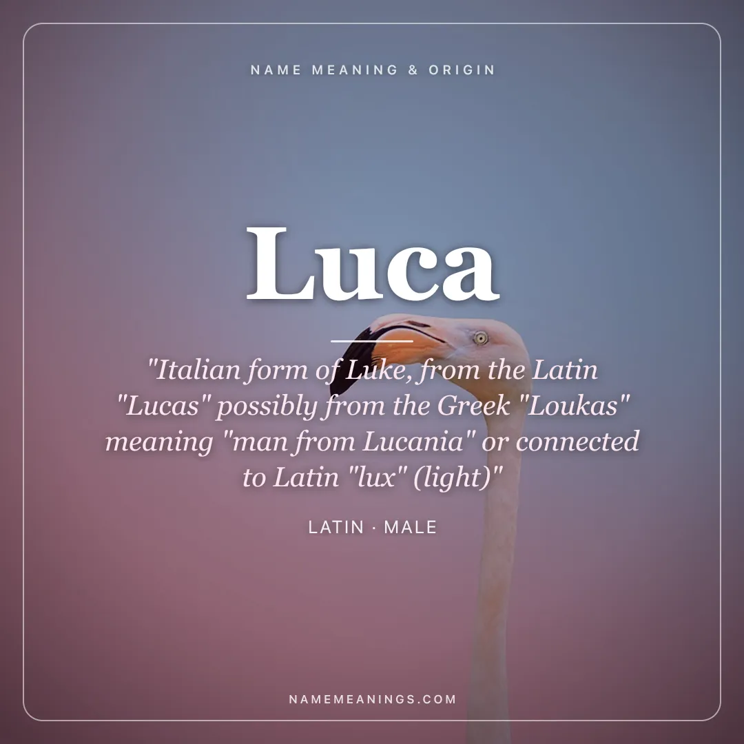 Luca name meaning "Italian form of Luke, from the Latin "Lucas" possibly from the Greek "Loukas" meaning "man from Lucania" or connected to Latin "lux" (light)" - Latin male name share card | NameMeanings