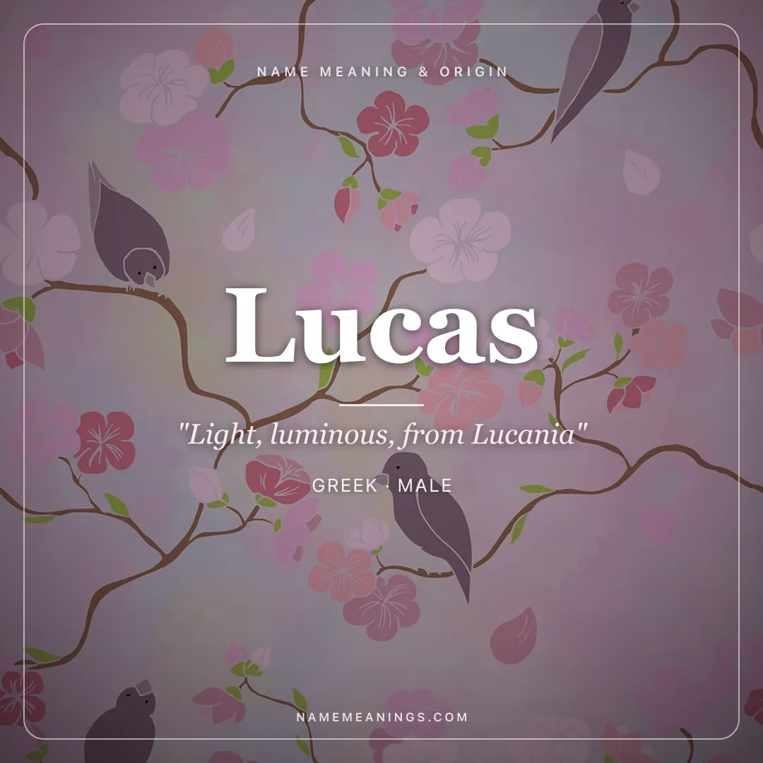 Lucas name meaning "Light, luminous, from Lucania" - Greek, Latin male name share card | NameMeanings