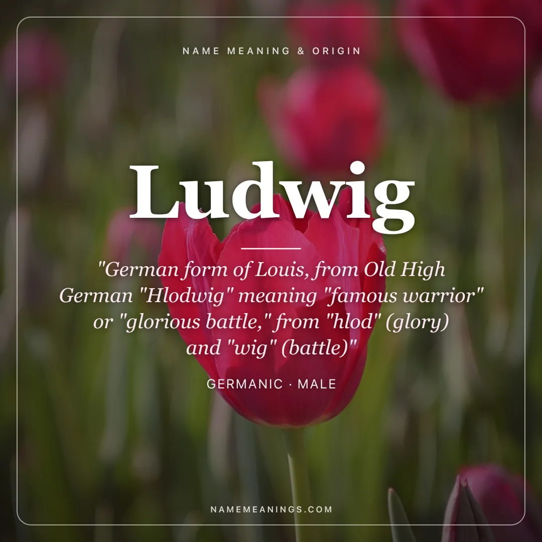 Ludwig name meaning "German form of Louis, from Old High German "Hlodwig" meaning "famous warrior" or "glorious battle," from "hlod" (glory) and "wig" (battle)" - Germanic male name share card | NameMeanings