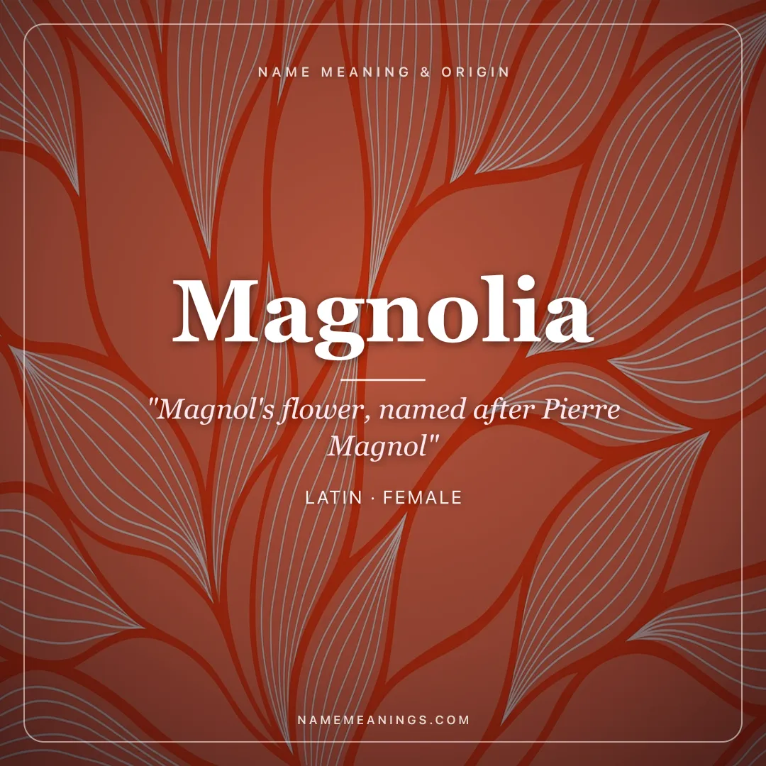 Magnolia name meaning "Magnol's flower, named after Pierre Magnol" - Latin, French female name share card | NameMeanings