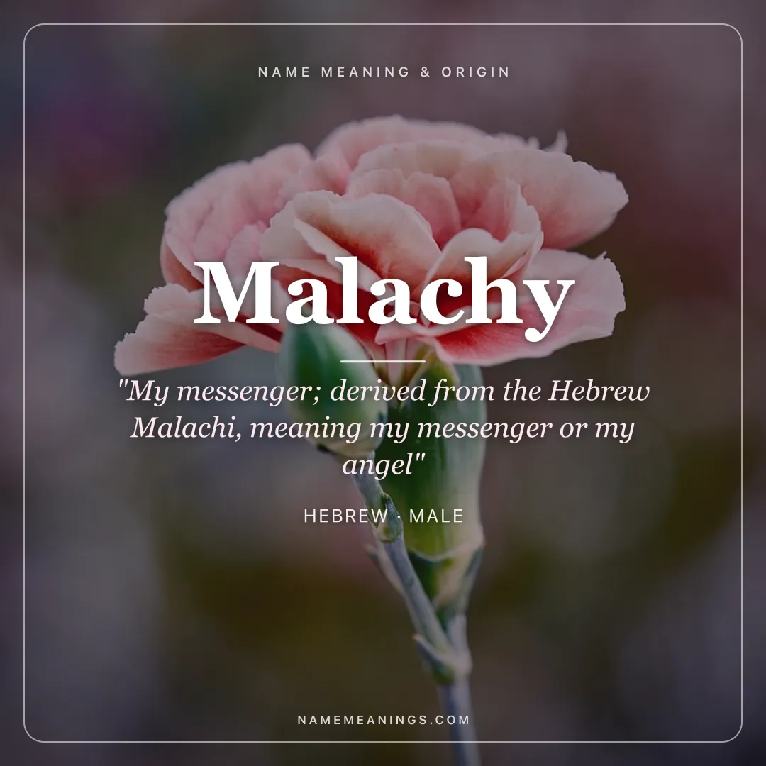 Malachy name meaning "My messenger; derived from the Hebrew Malachi, meaning my messenger or my angel" - Hebrew male name share card | NameMeanings