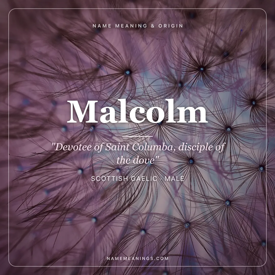 Malcolm name meaning "Devotee of Saint Columba, disciple of the dove" - Scottish Gaelic male name share card | NameMeanings