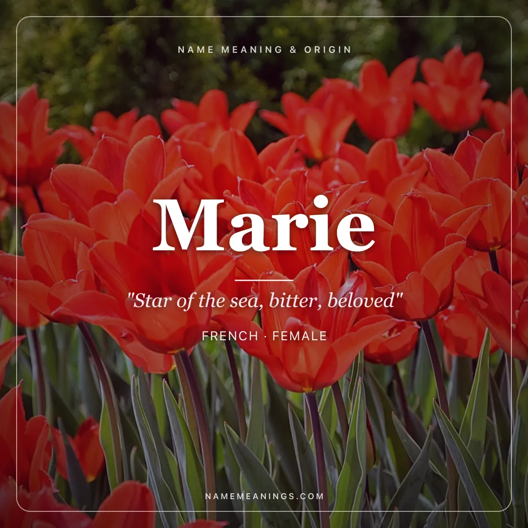 Marie name meaning "Star of the sea, bitter, beloved" - French, Hebrew female name share card | NameMeanings