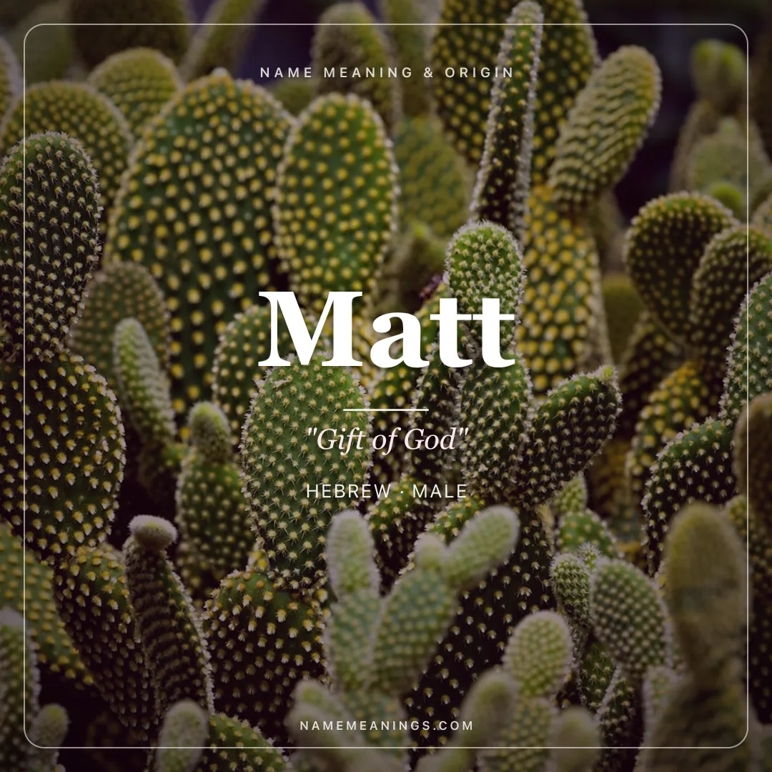Matt name meaning "Gift of God" - Hebrew male name share card | NameMeanings