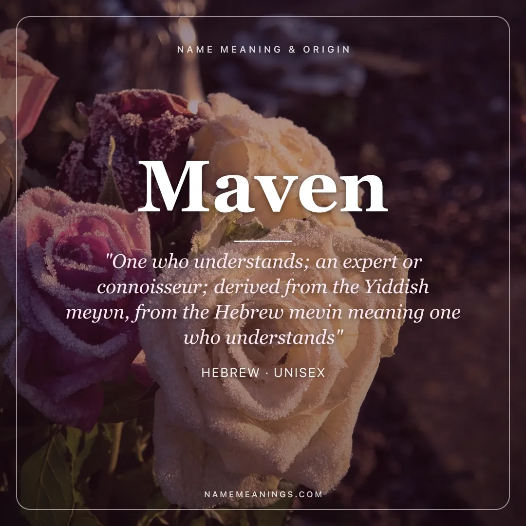 Maven name meaning "One who understands; an expert or connoisseur; derived from the Yiddish meyvn, from the Hebrew mevin meaning one who understands" - Hebrew unisex name share card | NameMeanings