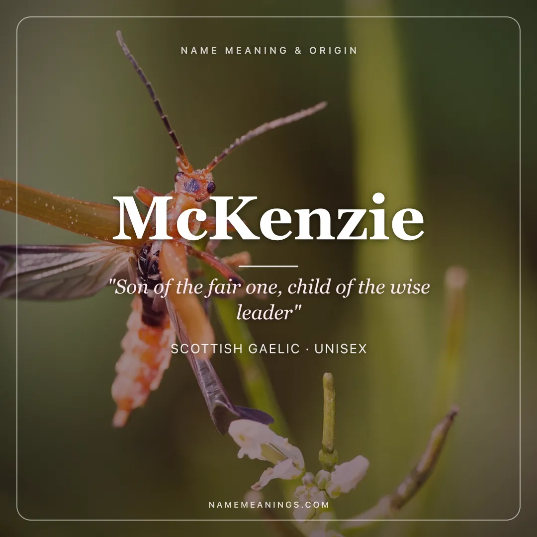 McKenzie name meaning "Son of the fair one, child of the wise leader" - Scottish Gaelic unisex name share card | NameMeanings