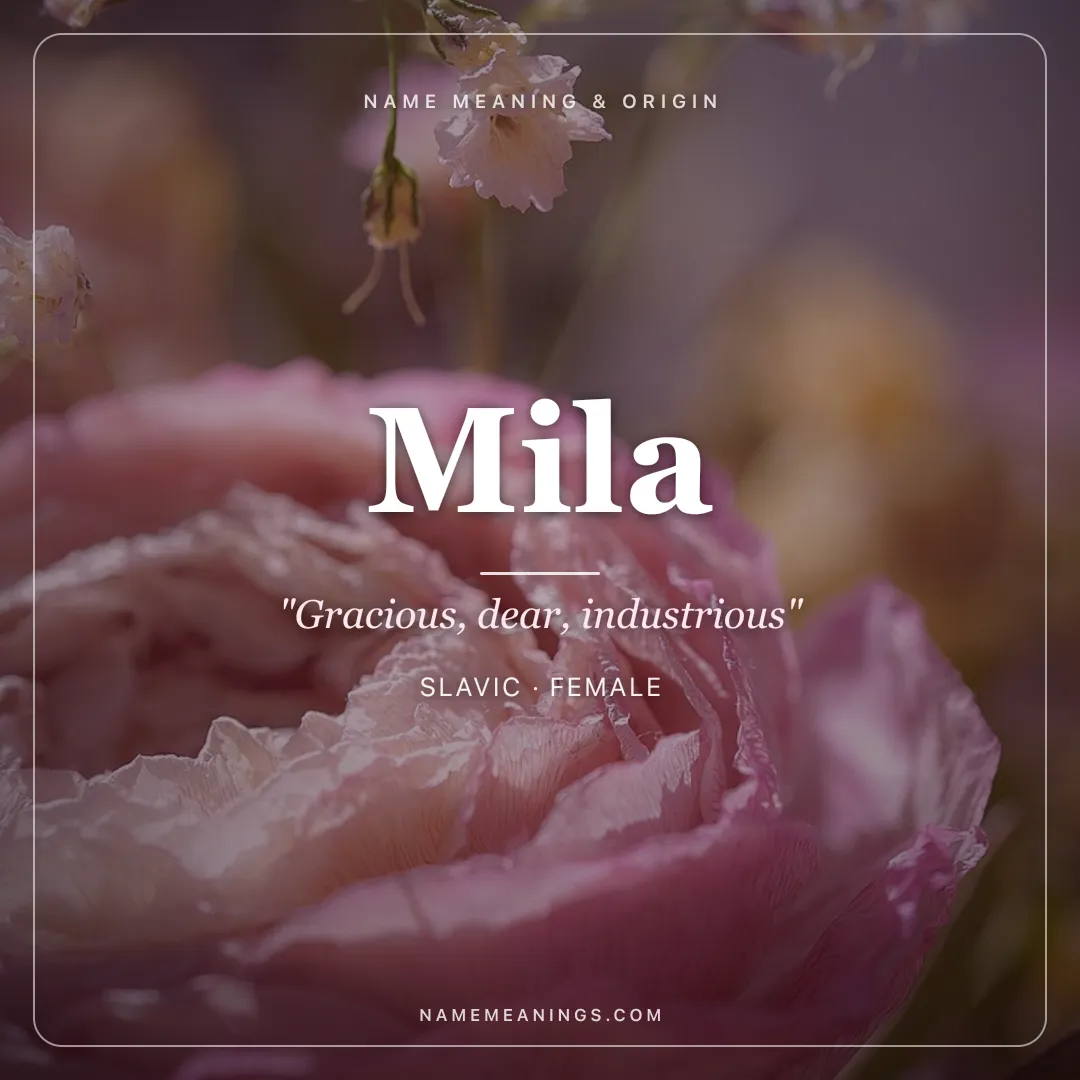 Mila name meaning "Gracious, dear, industrious" - Slavic, Russian female name share card | NameMeanings
