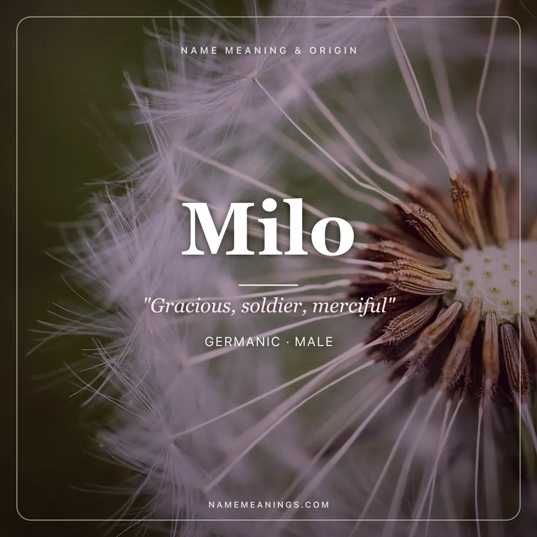 Milo name meaning "Gracious, soldier, merciful" - Germanic, Latin male name share card | NameMeanings