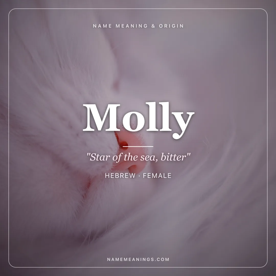 Molly name meaning "Star of the sea, bitter" - Hebrew, Irish female name share card | NameMeanings