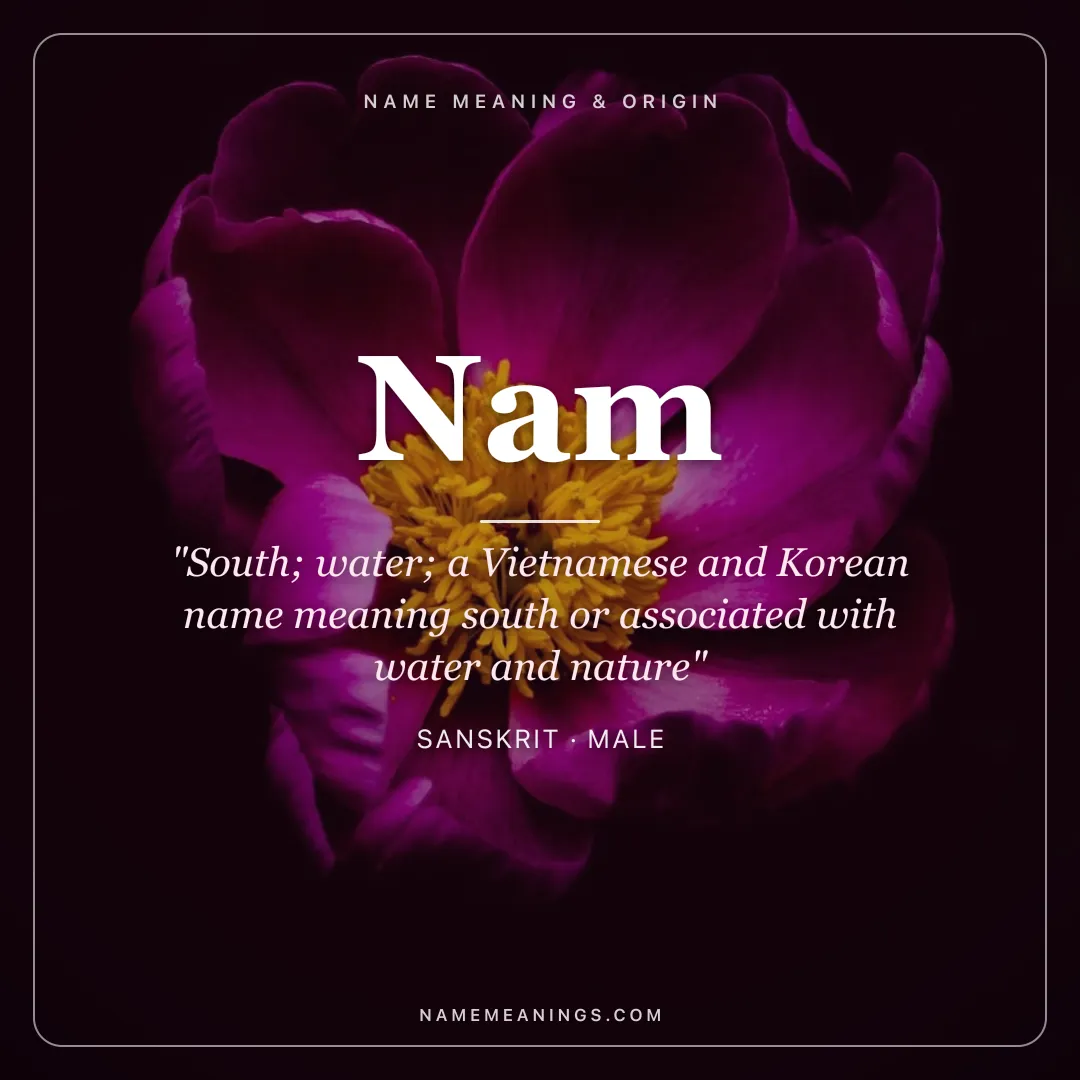 Nam name meaning "South; water; a Vietnamese and Korean name meaning south or associated with water and nature" - Sanskrit male name share card | NameMeanings