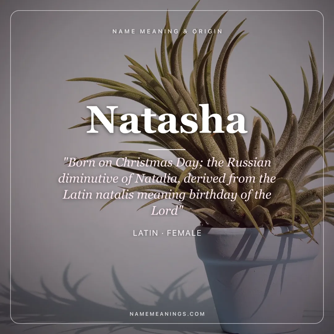 Natasha name meaning "Born on Christmas Day; the Russian diminutive of Natalia, derived from the Latin natalis meaning birthday of the Lord" - Latin female name share card | NameMeanings