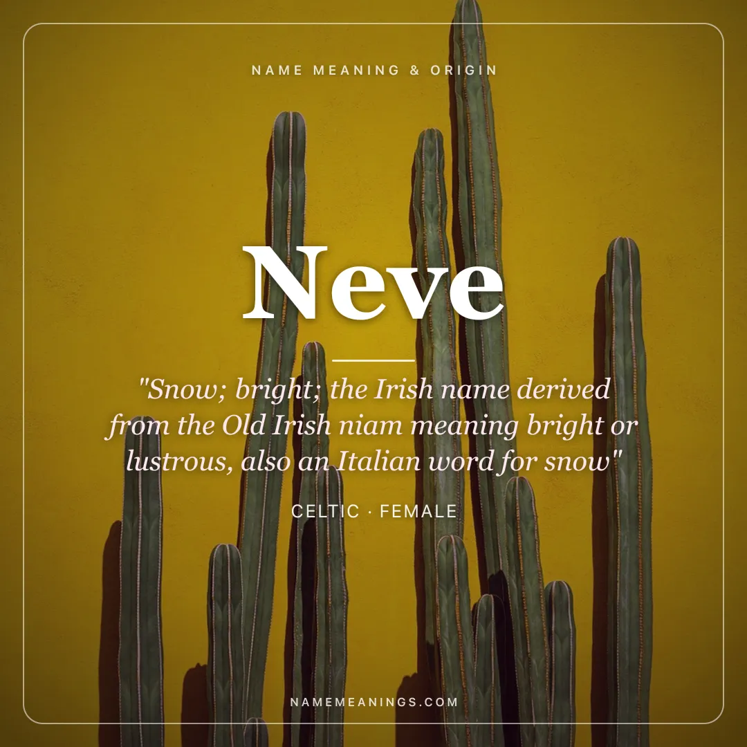 Neve name meaning "Snow; bright; the Irish name derived from the Old Irish niam meaning bright or lustrous, also an Italian word for snow" - Celtic female name share card | NameMeanings