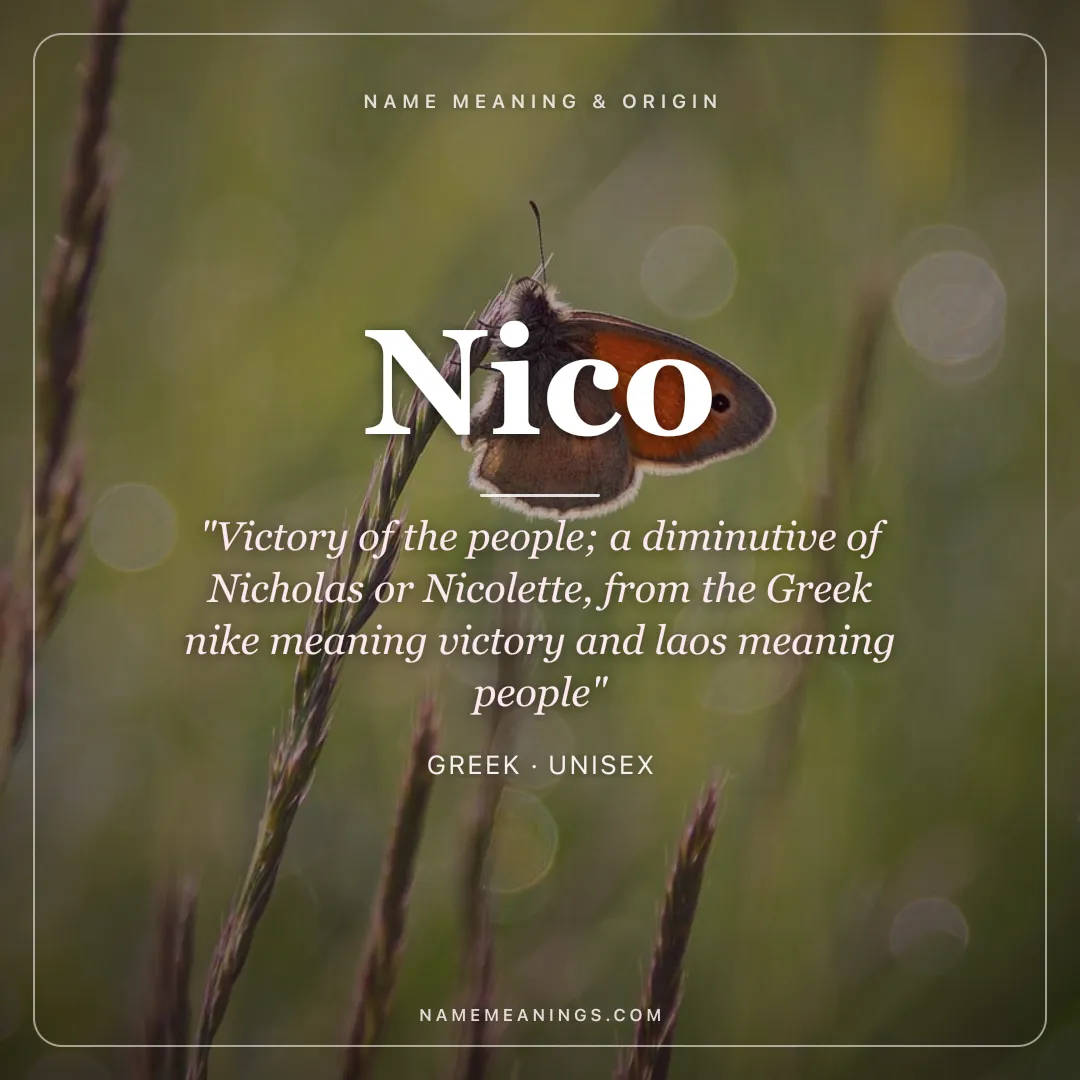 Nico name meaning "Victory of the people; a diminutive of Nicholas or Nicolette, from the Greek nike meaning victory and laos meaning people" - Greek unisex name share card | NameMeanings