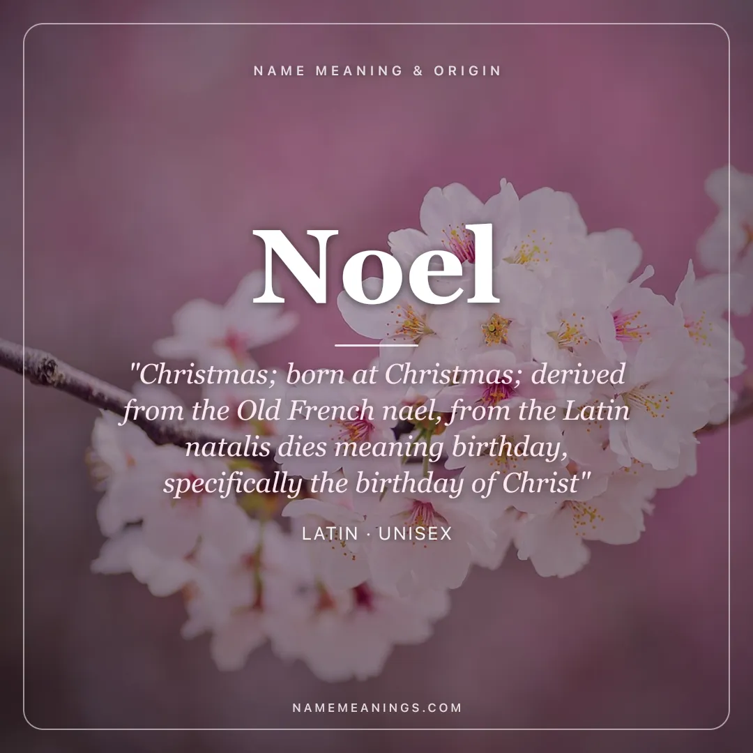 Noel name meaning "Christmas; born at Christmas; derived from the Old French nael, from the Latin natalis dies meaning birthday, specifically the birthday of Christ" - Latin unisex name share card | NameMeanings