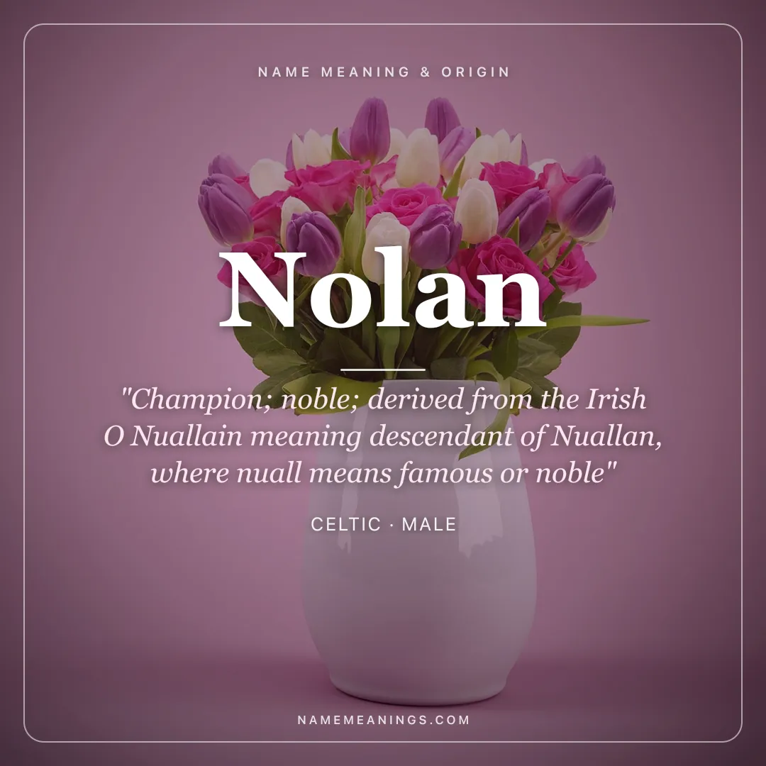 Nolan name meaning "Champion; noble; derived from the Irish O Nuallain meaning descendant of Nuallan, where nuall means famous or noble" - Celtic male name share card | NameMeanings