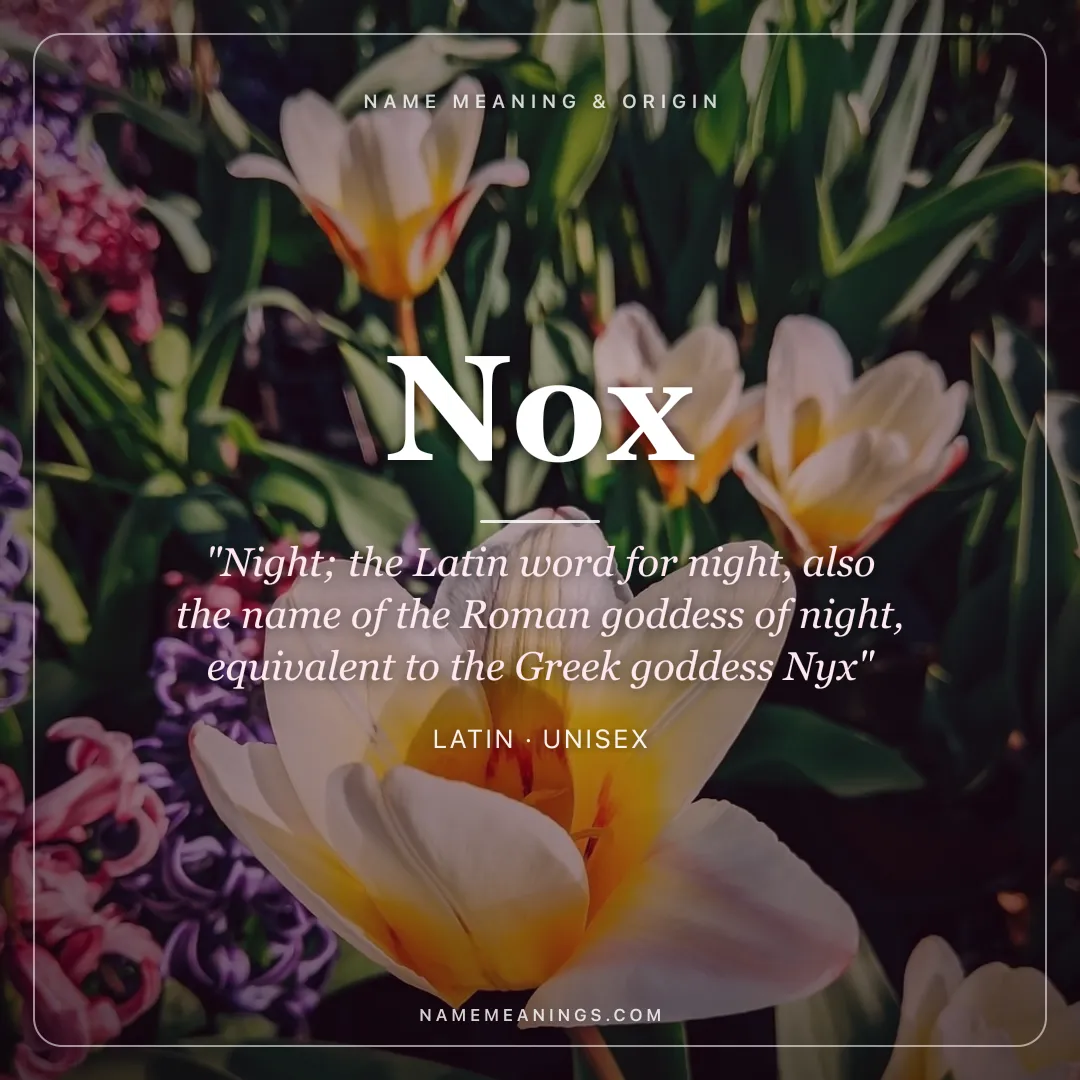 Nox name meaning "Night; the Latin word for night, also the name of the Roman goddess of night, equivalent to the Greek goddess Nyx" - Latin unisex name share card | NameMeanings