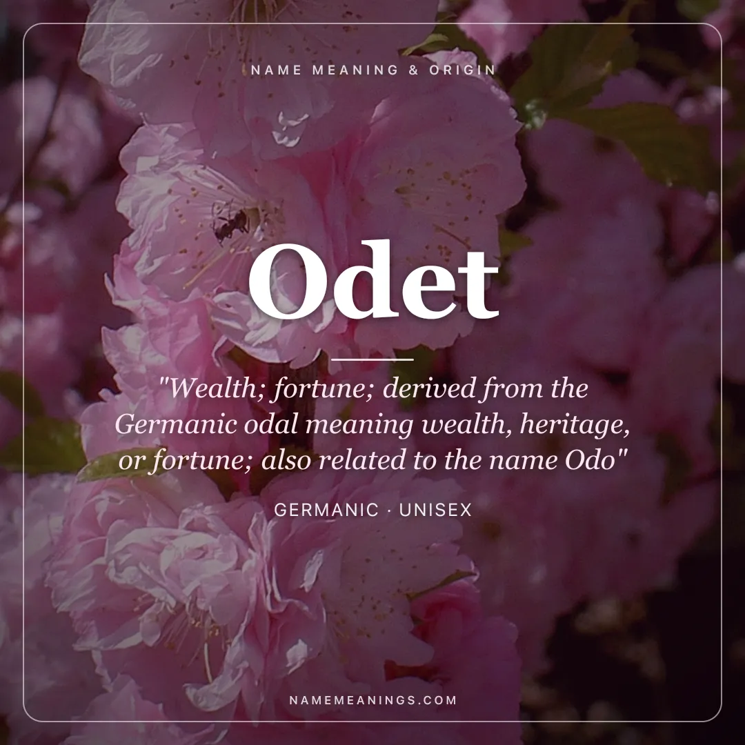 Odet name meaning "Wealth; fortune; derived from the Germanic odal meaning wealth, heritage, or fortune; also related to the name Odo" - Germanic unisex name share card | NameMeanings