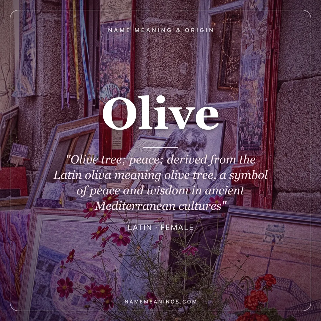 Olive name meaning "Olive tree; peace; derived from the Latin oliva meaning olive tree, a symbol of peace and wisdom in ancient Mediterranean cultures" - Latin female name share card | NameMeanings
