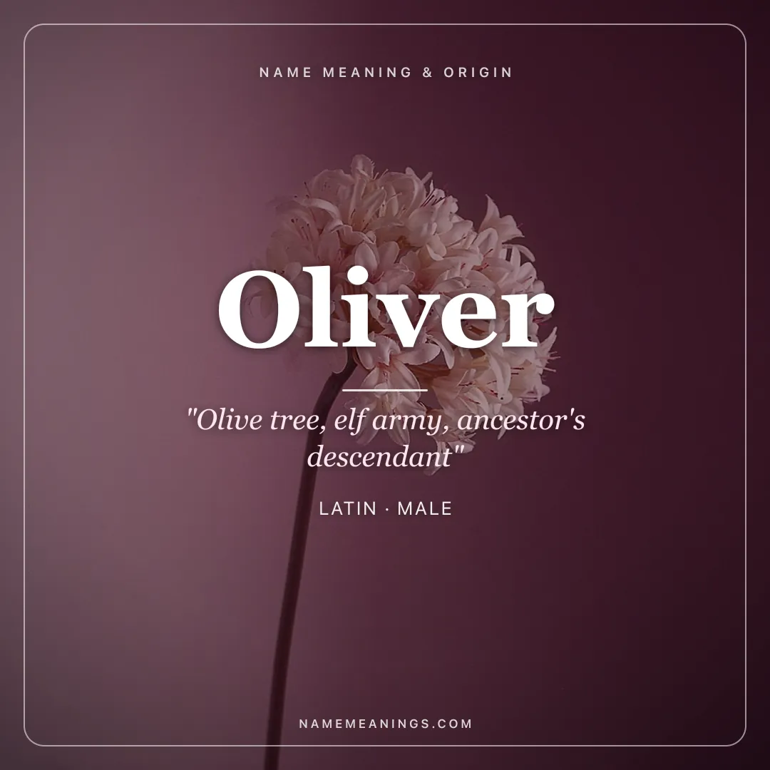 Oliver name meaning "Olive tree, elf army, ancestor's descendant" - Latin, Old Norse, French male name share card | NameMeanings