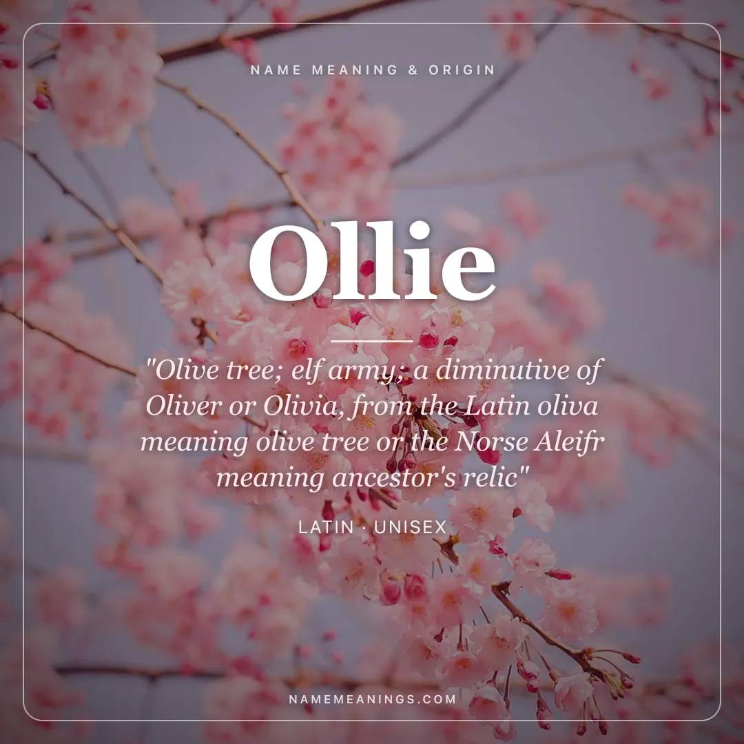 Ollie name meaning "Olive tree; elf army; a diminutive of Oliver or Olivia, from the Latin oliva meaning olive tree or the Norse Aleifr meaning ancestor's relic" - Latin unisex name share card | NameMeanings