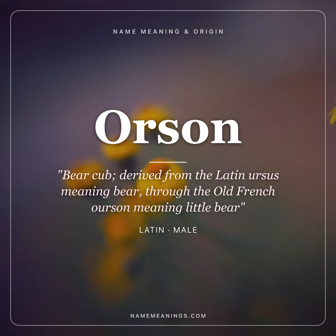 Orson name meaning "Bear cub; derived from the Latin ursus meaning bear, through the Old French ourson meaning little bear" - Latin male name share card | NameMeanings