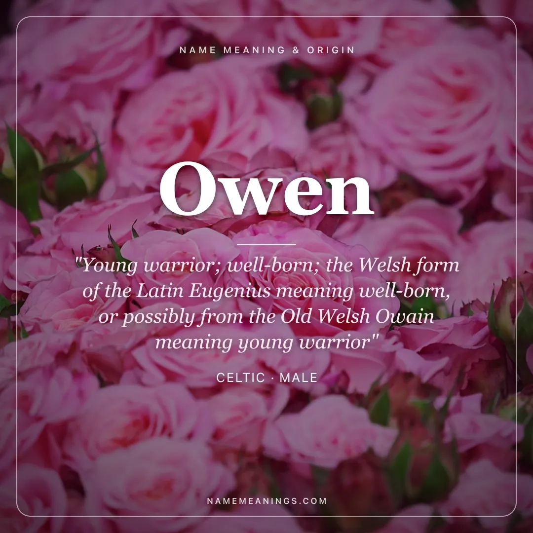 Owen name meaning "Young warrior; well-born; the Welsh form of the Latin Eugenius meaning well-born, or possibly from the Old Welsh Owain meaning young warrior" - Celtic male name share card | NameMeanings