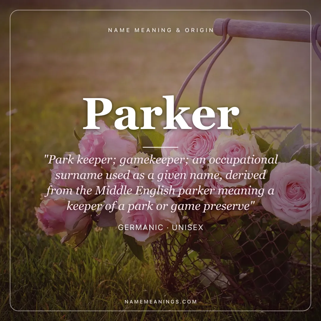 Parker name meaning "Park keeper; gamekeeper; an occupational surname used as a given name, derived from the Middle English parker meaning a keeper of a park or game preserve" - Germanic unisex name share card | NameMeanings